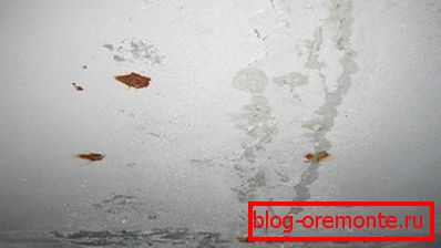 Ha megjelenik a penész Ha megjelenik a penész
