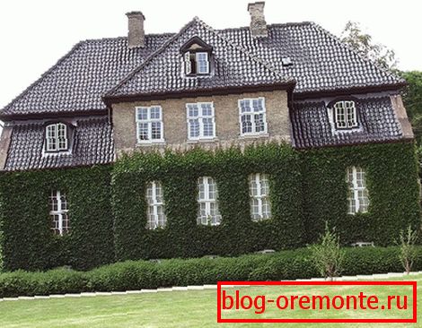 Vegetáció a homlokzaton