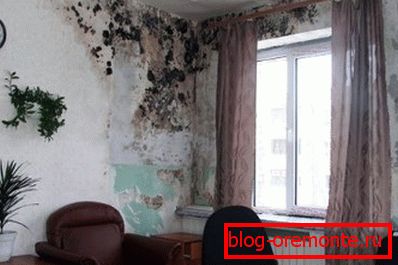 Amatőr fotó a beton falak által okozott gomba által okozott fokozott nedvességet Amatőr fotó a beton falak által okozott gomba által okozott fokozott nedvességet