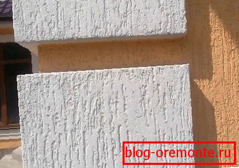 Nedves homlokzat kéreg bogár - függőleges