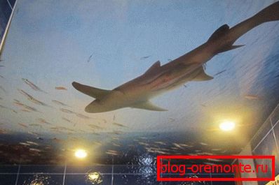 Nautikus témaтика Nautikus témaтика
