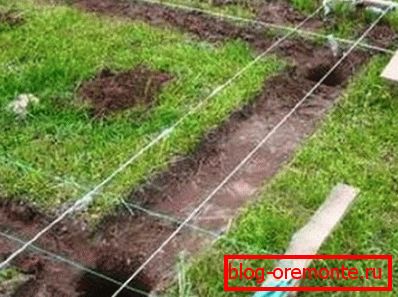 Elrendezés vegyes alagsorban. Elrendezés vegyes alagsorban.